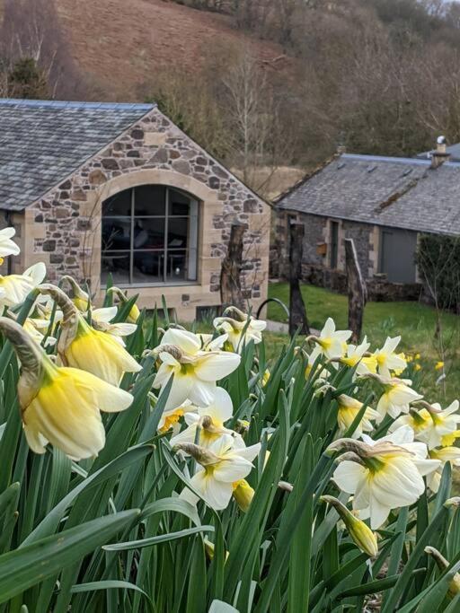 Woodmill Arches - Designer Barn Conversion For Two Apartment Lindores ภายนอก รูปภาพ